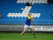 Laois SHC: Abbeyleix through to semi-finals after comfortable win over Portlaoise